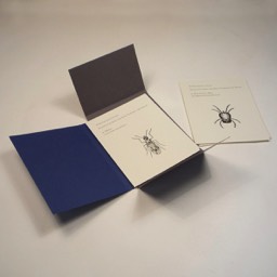 Rebecca Gransden — Nature Cards — Tangerine Press