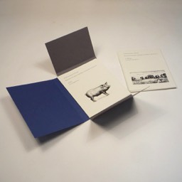 Rebecca Gransden — Nature Cards — Tangerine Press