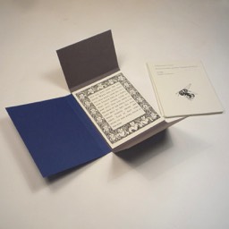 Rebecca Gransden — Nature Cards — Tangerine Press