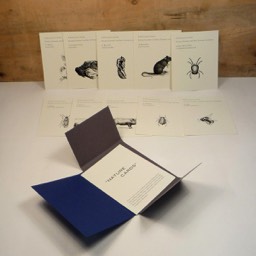 Rebecca Gransden — Nature Cards — Tangerine Press