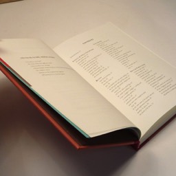 Billy Childish — The Uncorrected Billy Childish — Tangerine Press